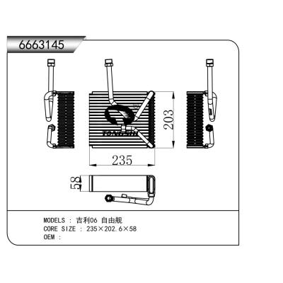 適用于  吉利06 自由艦  蒸發(fā)器